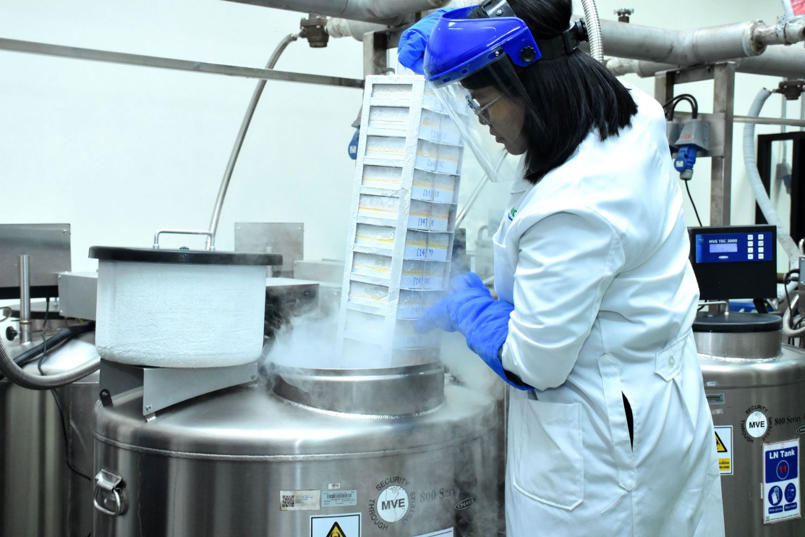 08 ห้องเก็บเชื้อจุลินทรีย์ โดยการแช่แข็งใน