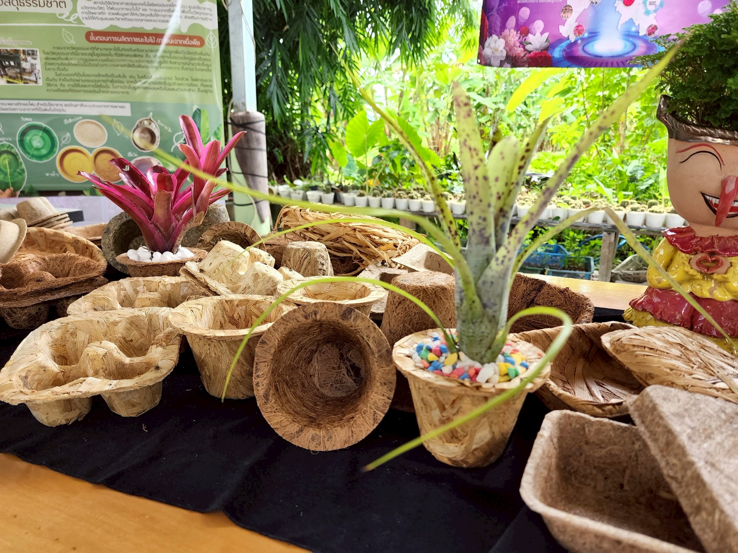 3 ภาชนะ รักษ์โลก 2