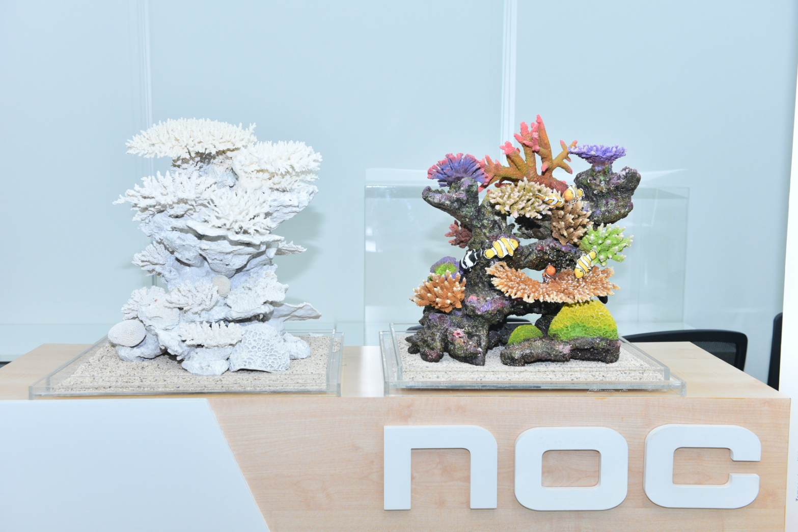 5 ผลงานเด่นศูนยืโอมิกส์แห่งชาติ ปะการังฟ 0