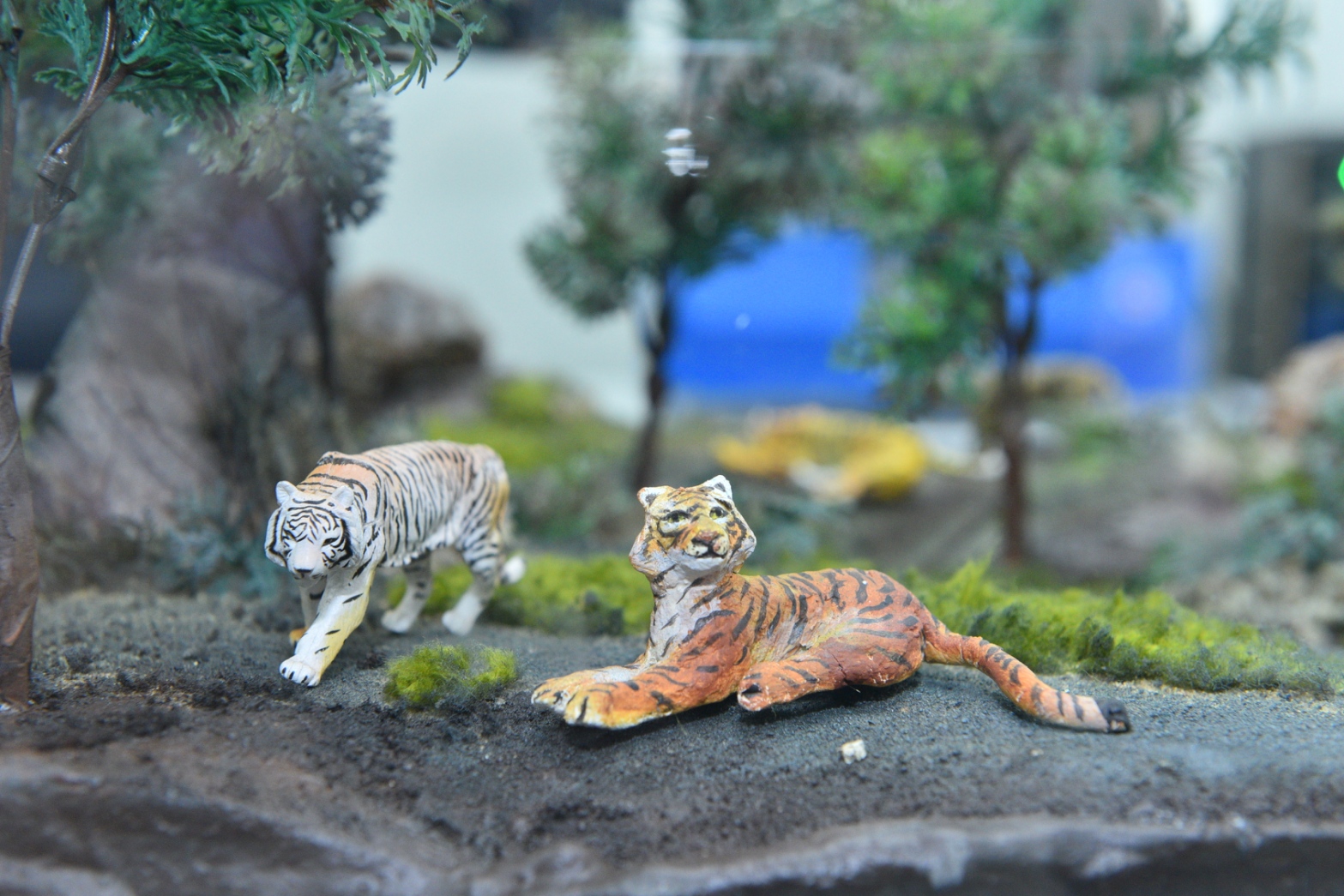 6 ผลงานเด่นศูนยืโอมิกส์แห่งชาติ เสือโคร่ 0