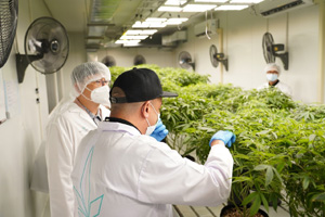 timeline 20211022 210318