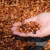 “ศ.ดร.ศุภชัย ปทุมนากุล ” และคณะบอร์ด ลงพื้นที่ติดตามการดำเนิ ... Image 3