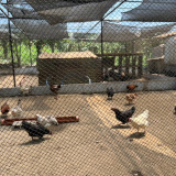 วว. ร่วมประชุมวิชาการ DOST-PCAARRD-TISTR ณ ประเทศฟิลิปปินส์  ... พารามิเตอร์รูปภาพ 3