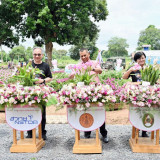 สวทช. และ มรภ.อุดรธานี ยกระดับดอกปทุมมา ส่งเสริมตลอดห่วงโซ่ก ... Image 2