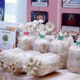 วว. /สทนช. /MRCS ร่วมสานสัมพันธ์ 75 ปี ความสัมพันธ์ทางการทูต ... Image 4