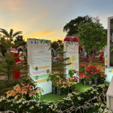 วว. โชว์ผลงานเพิ่มศักยภาพการผลิตและปลูกเลี้ยงไม้ดอกไม้ประดับ ... Image 5