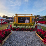 วว. โชว์ผลงานเพิ่มศักยภาพการผลิตและปลูกเลี้ยงไม้ดอกไม้ประดับ ... Image 1