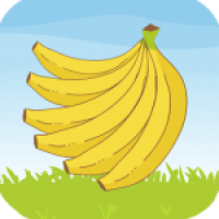 กล้วยเล็บมือนาง Image 1