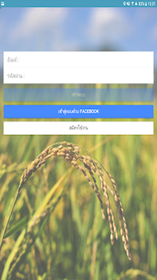 Chaokaset พารามิเตอร์รูปภาพ 3