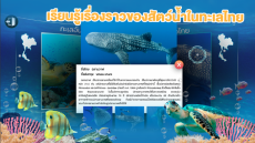 STKC Thai Sea Discovery พารามิเตอร์รูปภาพ 3