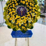 วิทยาลัยชุมชนตราด พารามิเตอร์รูปภาพ 1