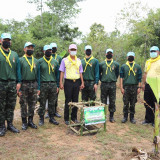 อว. ร่วมแสดงพลังปลูกต้นไม้ล้านต้น ล้านความดี เพิ่มพื้นที่ป่า ... พารามิเตอร์รูปภาพ 2