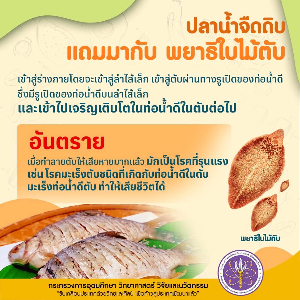 319100542 1584639565369735 2571329907852429686 n