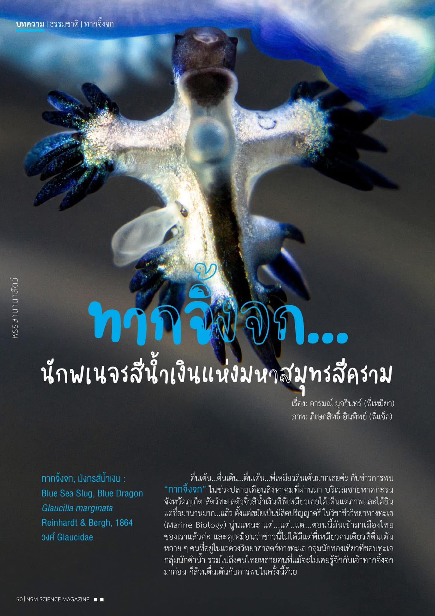 517406371 1283979543737800 356973372893196012 n