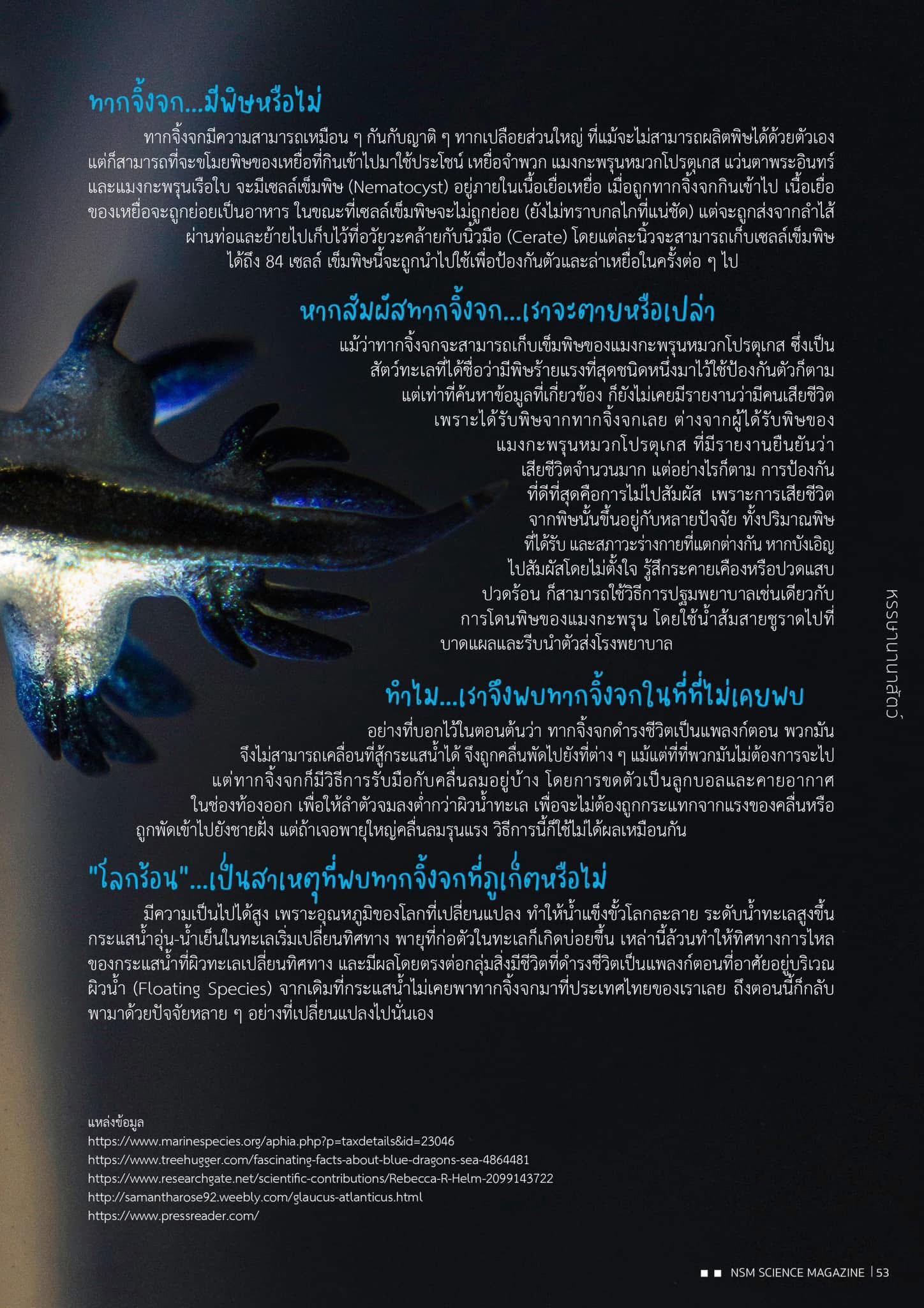 517916970 1283979593737795 387628092772991898 n