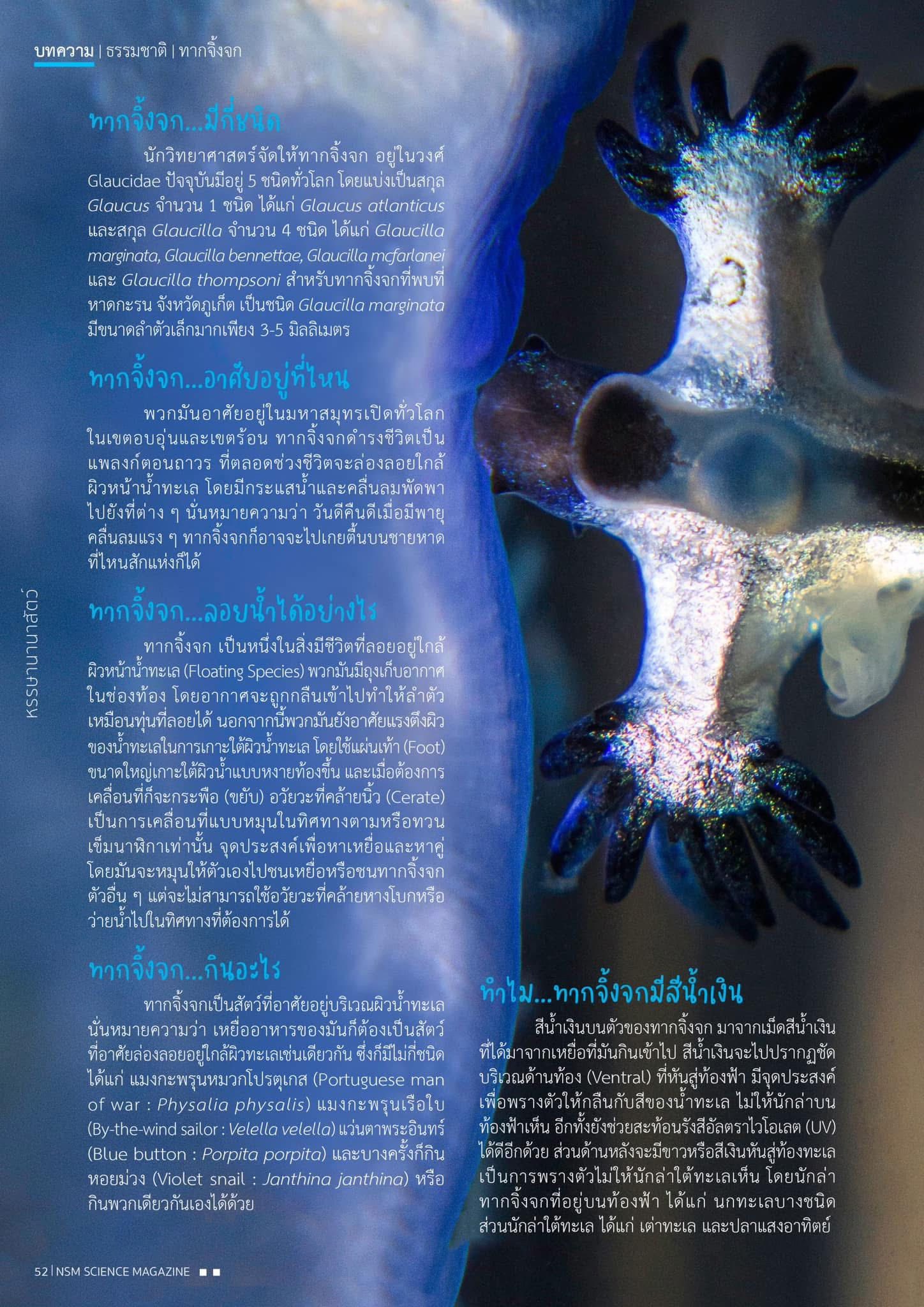 518298358 1283979553737799 690028906513881110 n