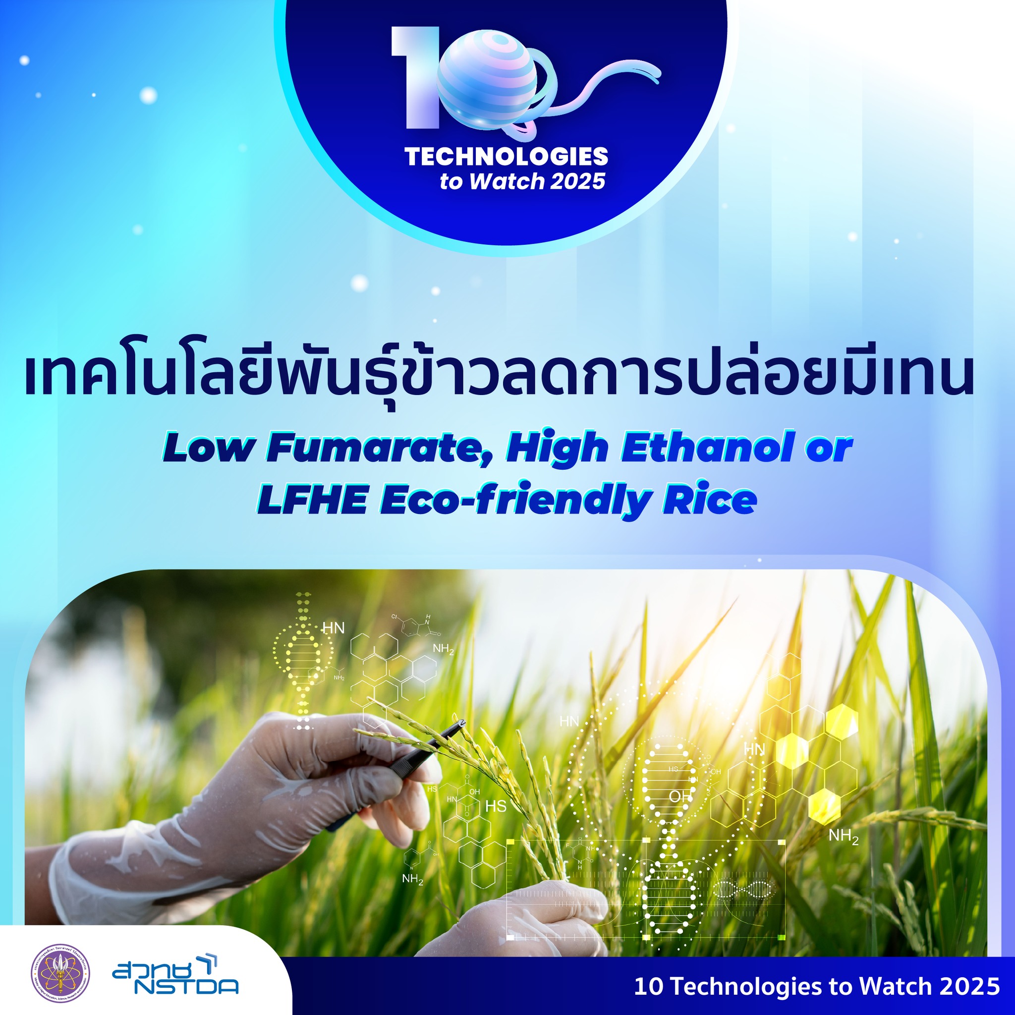 536644654 1198995485603153 8627482184367100102 n