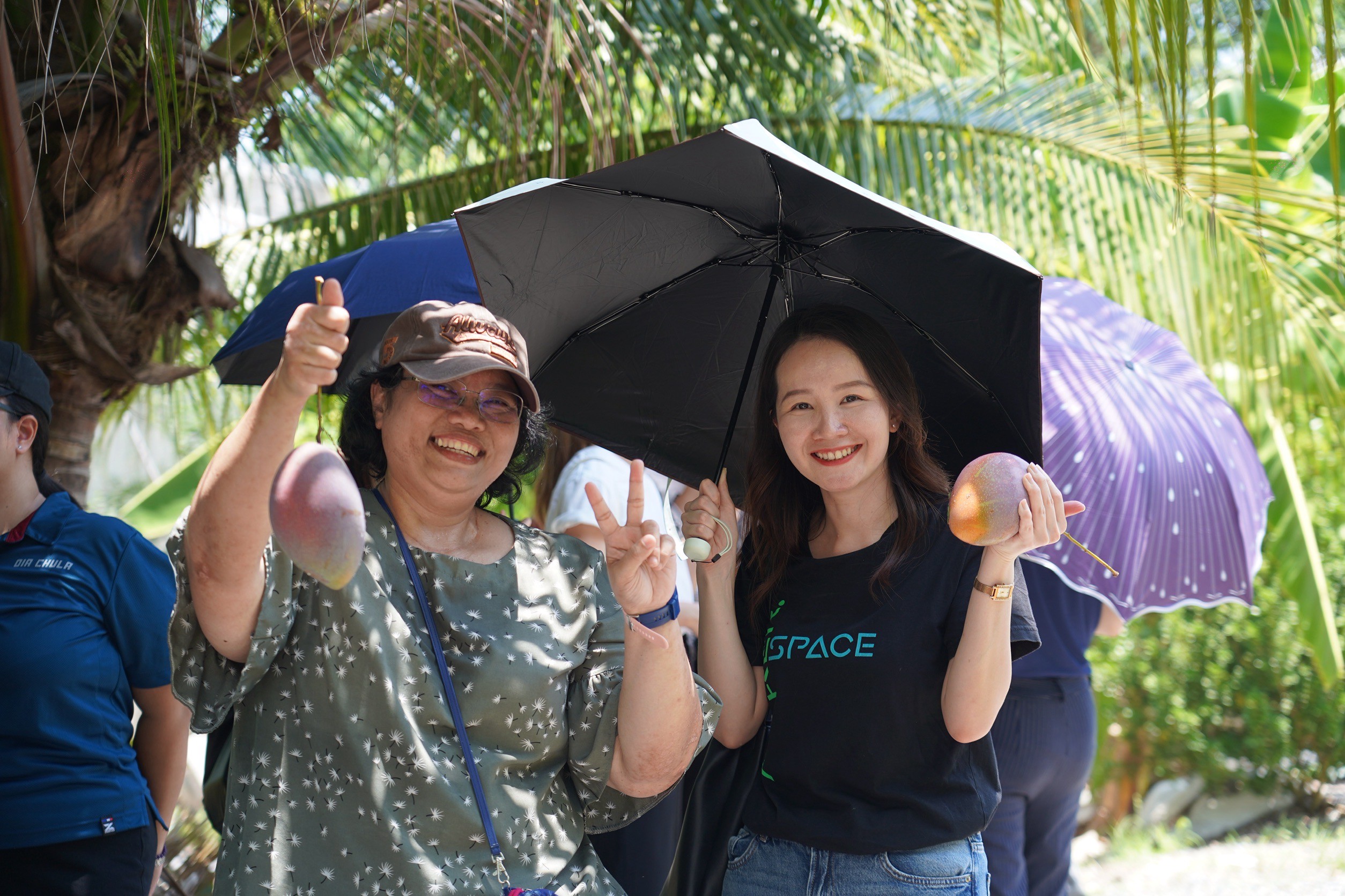 LINE ALBUM ไม่คัด 250425 5